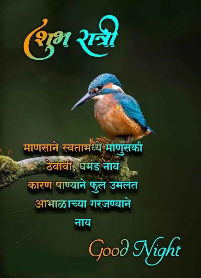 good-night-images-in-marathi-for-whatsapp-45