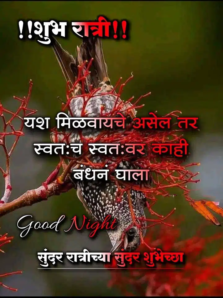 good-night-images-in-marathi-for-whatsapp-74