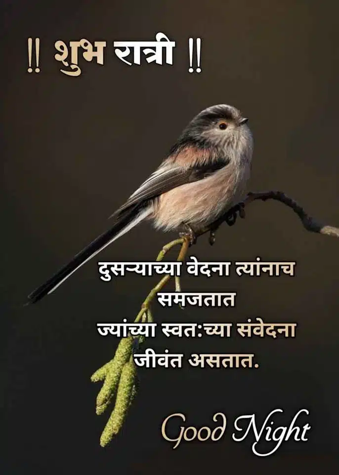 good-night-images-in-marathi-language-49