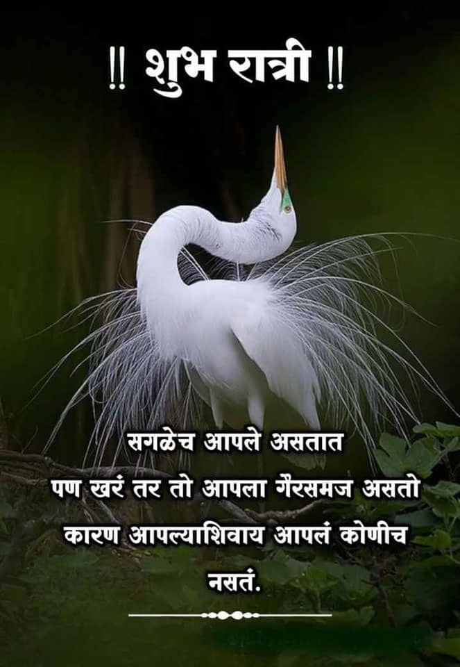 good-night-messages-in-marathi-51