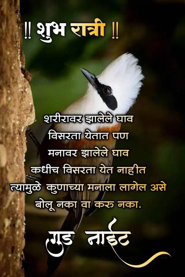 good-night-messages-in-marathi-66