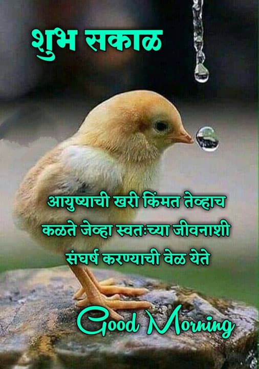 good-morning-shayari-in-marathi-13