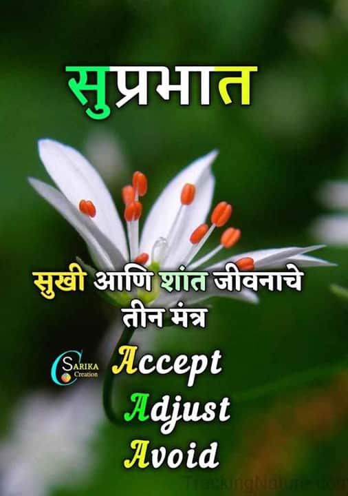 good-morning-shayari-in-marathi-29