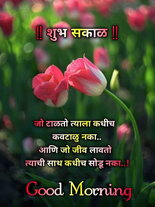 good-morning-shayari-in-marathi-37