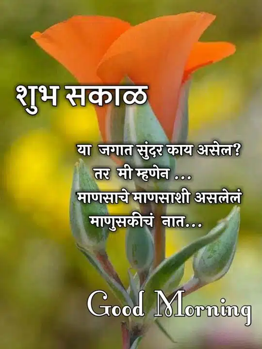 good-morning-status-in-marathi-7