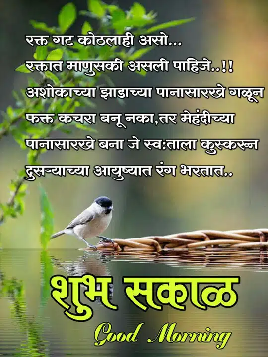 good-morning-status-in-marathi-84