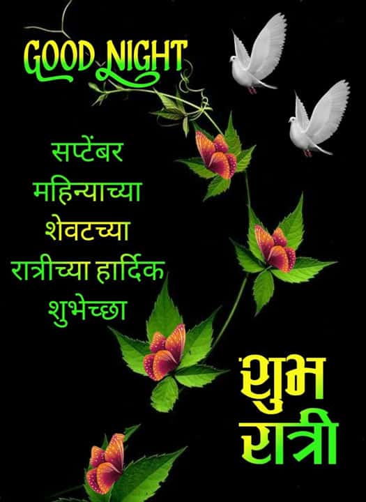 good-night-images-in-marathi-for-friends-84