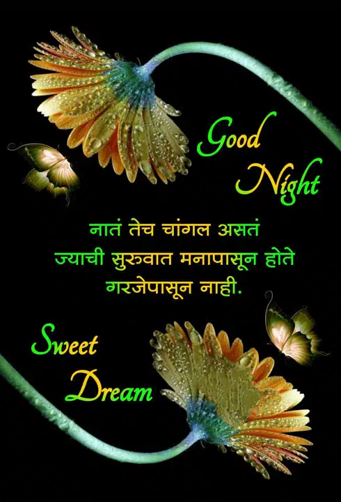 good-night-images-in-marathi-for-friends-90