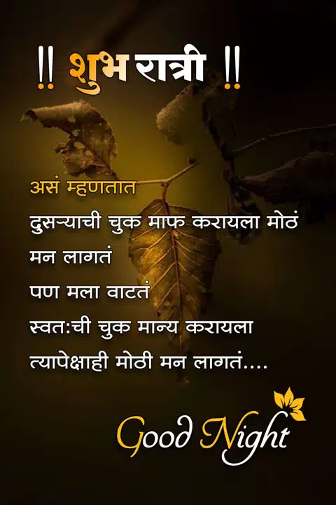 good-night-images-in-marathi-for-friends-share-chat-19