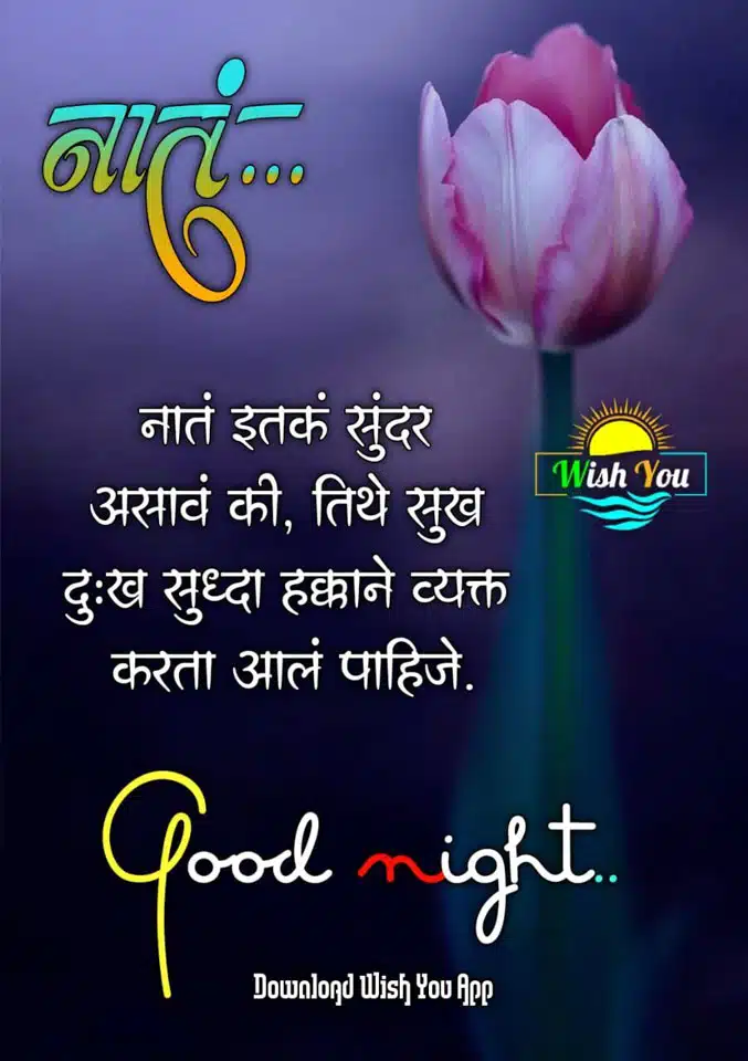 good-night-images-in-marathi-for-friends-share-chat-63