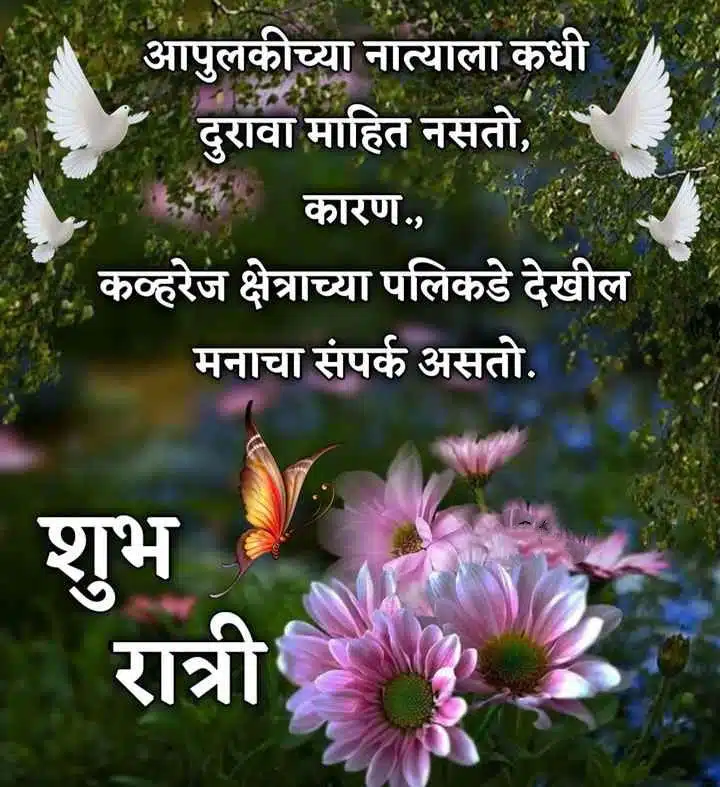 good-night-images-in-marathi-for-friends-share-chat-70