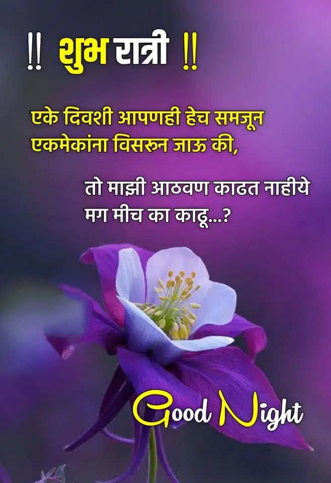 good-night-images-in-marathi-for-friends-share-chat-73