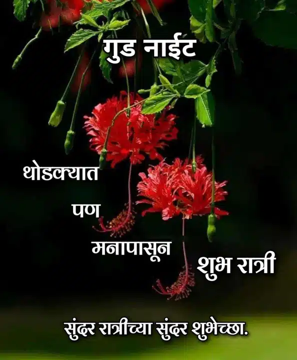 good-night-images-in-marathi-for-whatsapp-share-chat-11