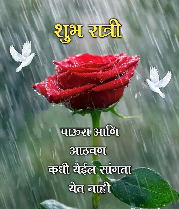 good-night-images-in-marathi-for-whatsapp-share-chat-2