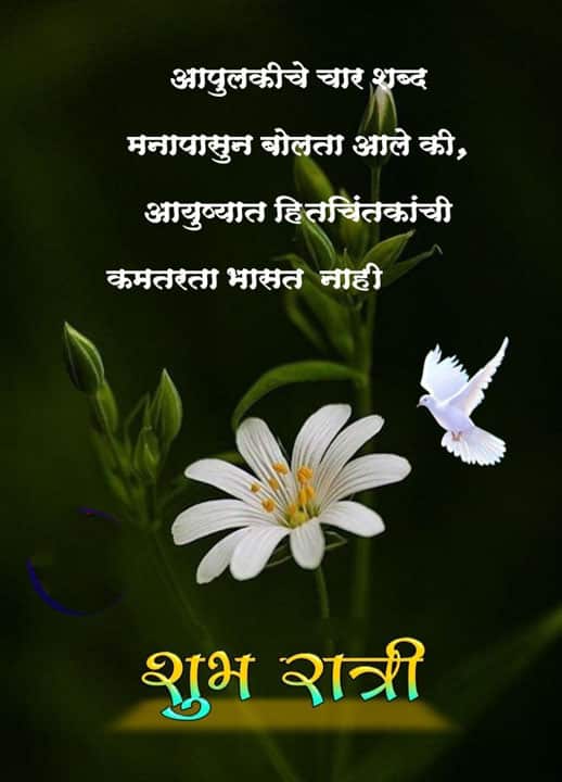 good-night-images-in-marathi-for-whatsapp-share-chat-45