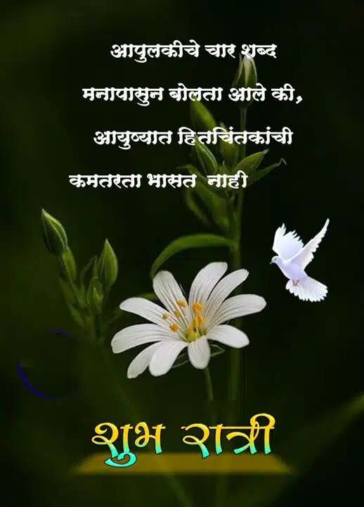 good-night-images-in-marathi-for-whatsapp-share-chat-45