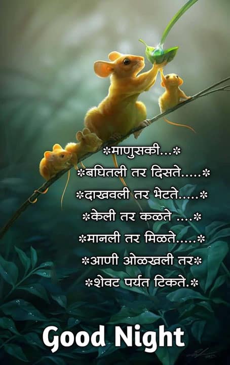 good-night-images-in-marathi-share-chat-56
