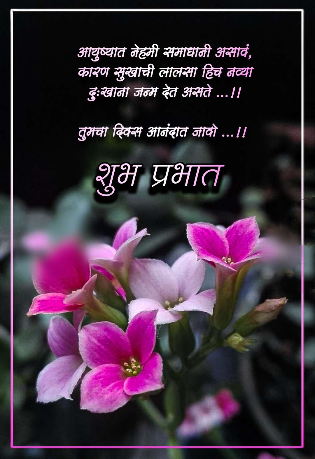 Happy Good Morning Quotes In Marathi