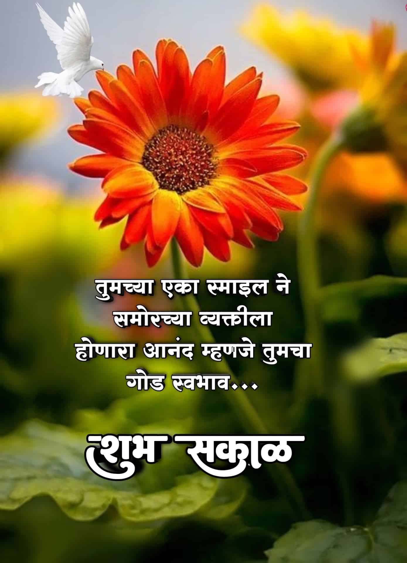 Good Morning Happiness Quotes Images In Marathi