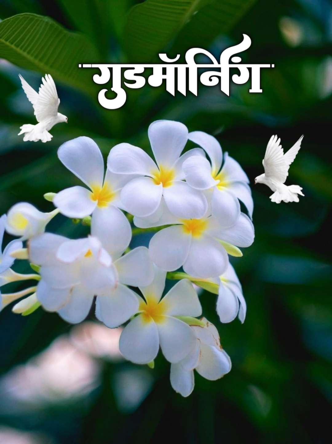 Good Morning Flowers Marathi