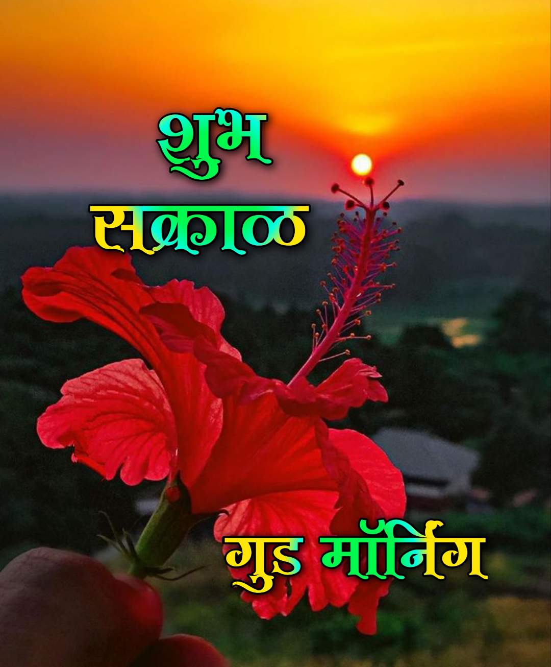 flower shubh sakal