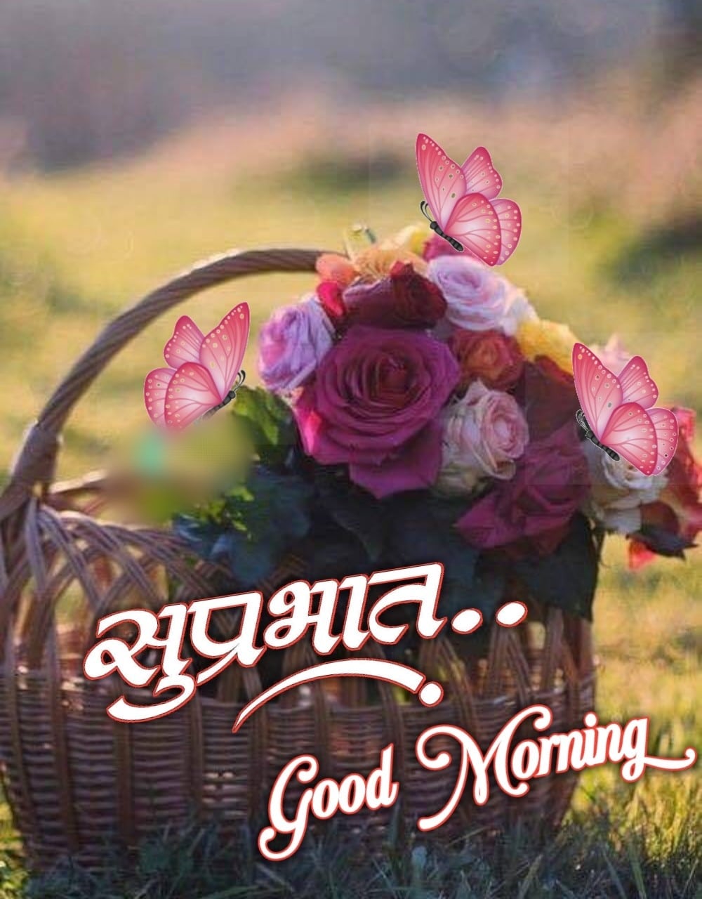 suprabhat flowers images