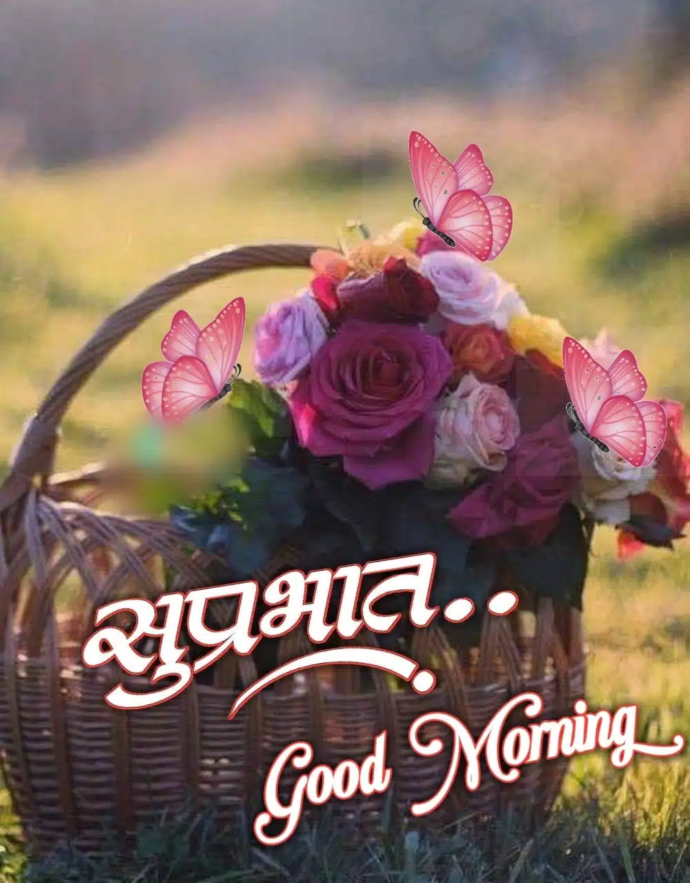 suprabhat flowers images