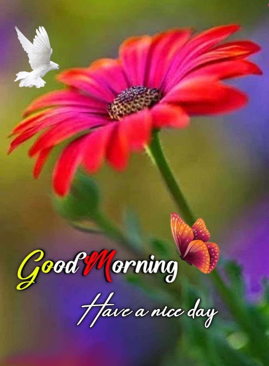 Good Morning Flowers Images In Marathi