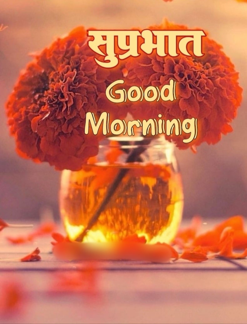 Good Morning Shubh Sakal Flower Images