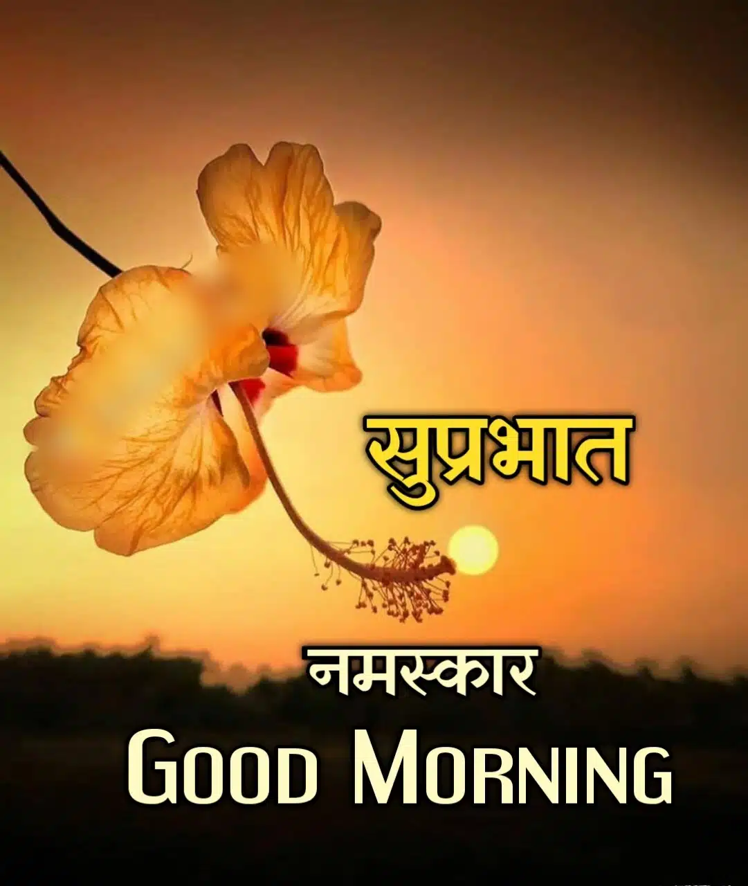 Good Morning Shubh Sakal Flower Images