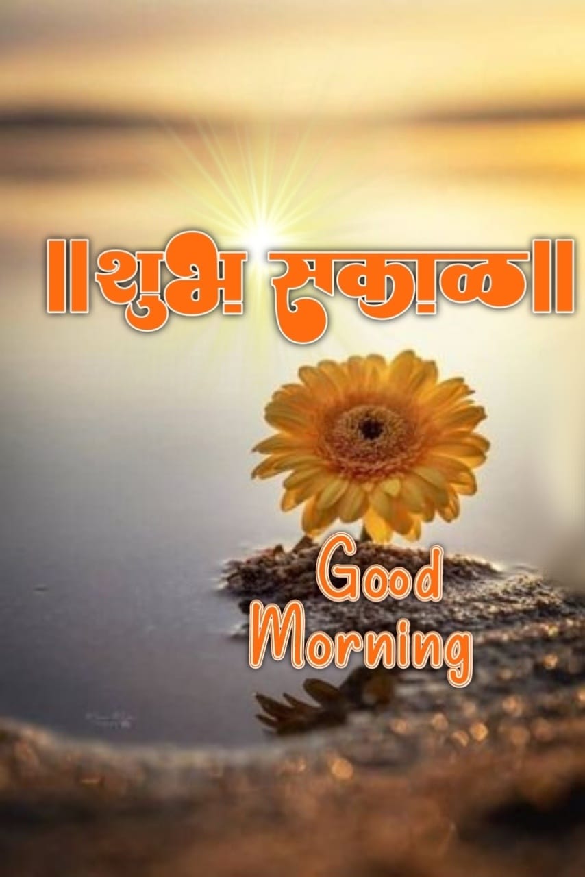 Good Morning Shubh Sakal Flower Images