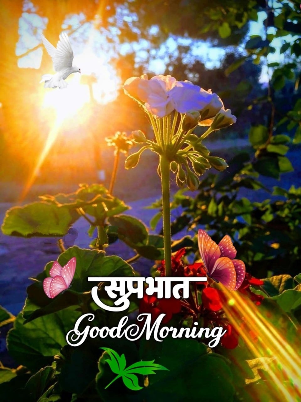 Good Morning Shubh Sakal Flower Images