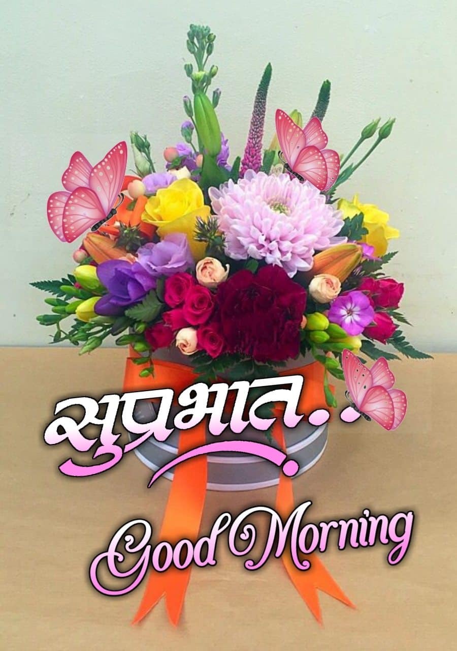 suprabhat flower