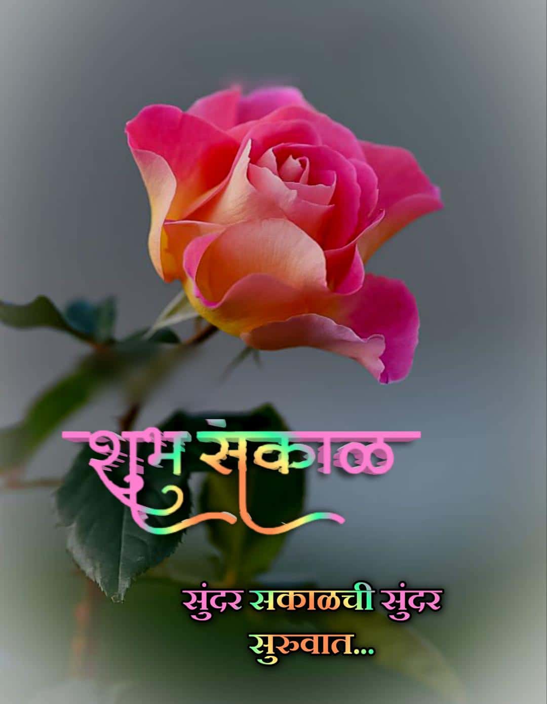 Shubh Sakal Flower