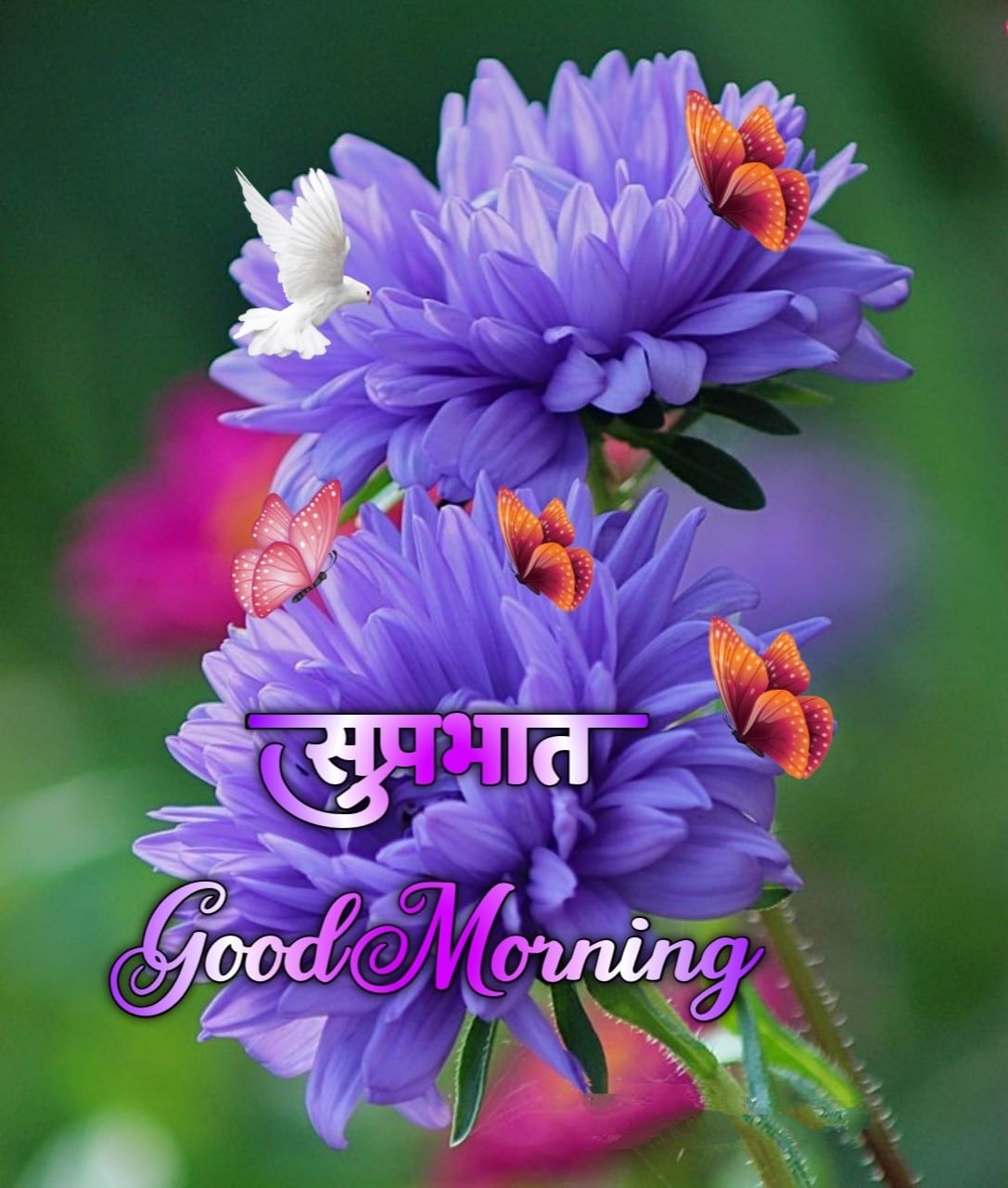 Good Morning Flowers Marathi