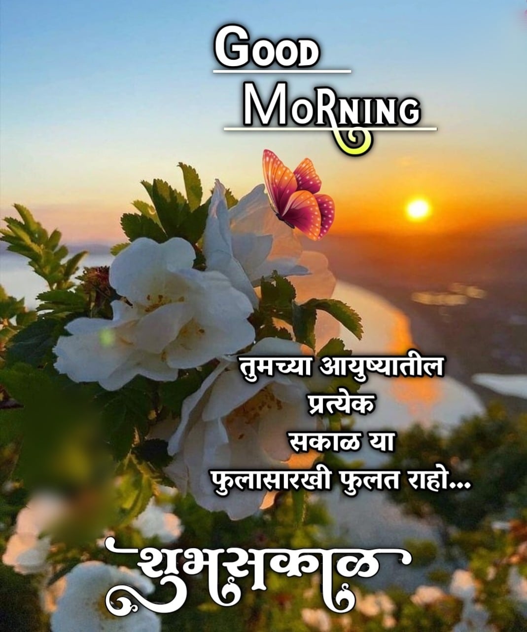 Good Morning Shubh Sakal Flower Images