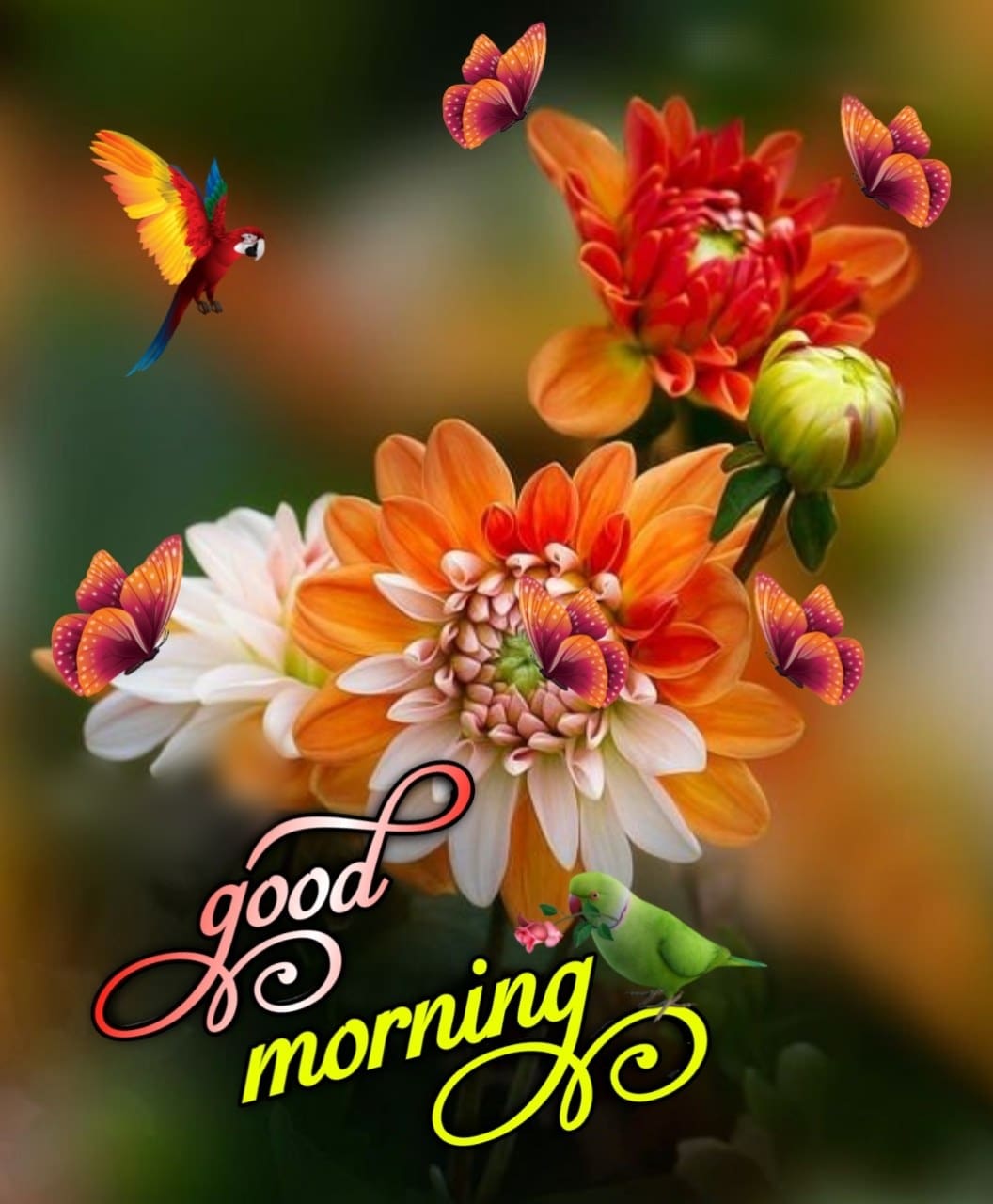 Good Morning Flowers Images In Marathi