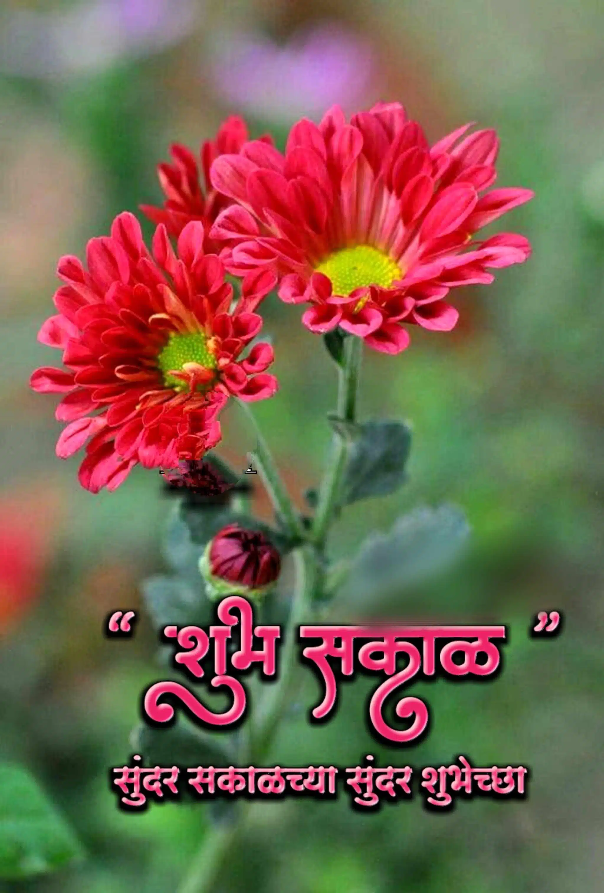 flower shubh sakal