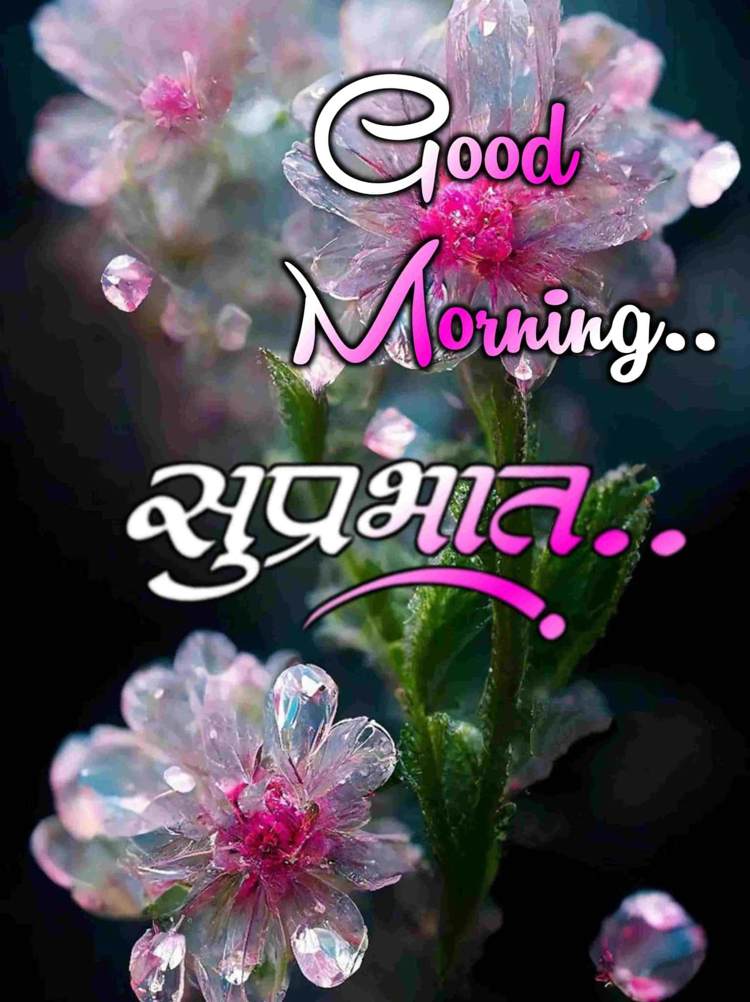 Good Morning Flowers Marathi