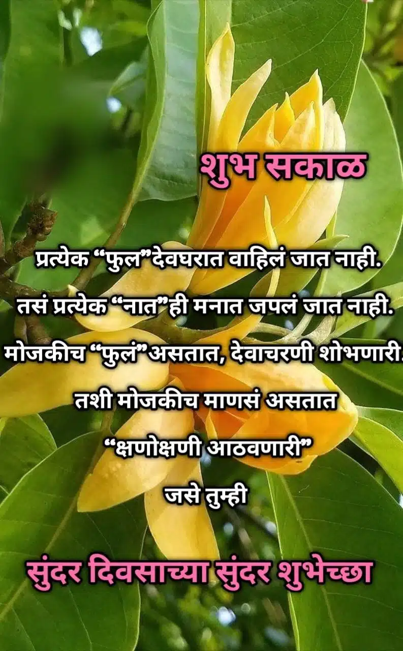 Good Morning Flowers Quotes Marathi