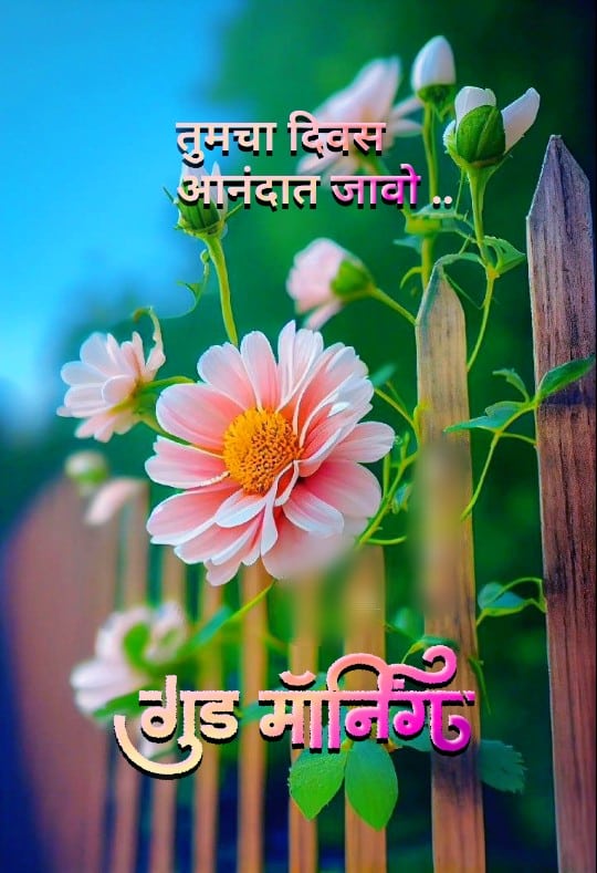 Good Morning Flowers Images In Marathi