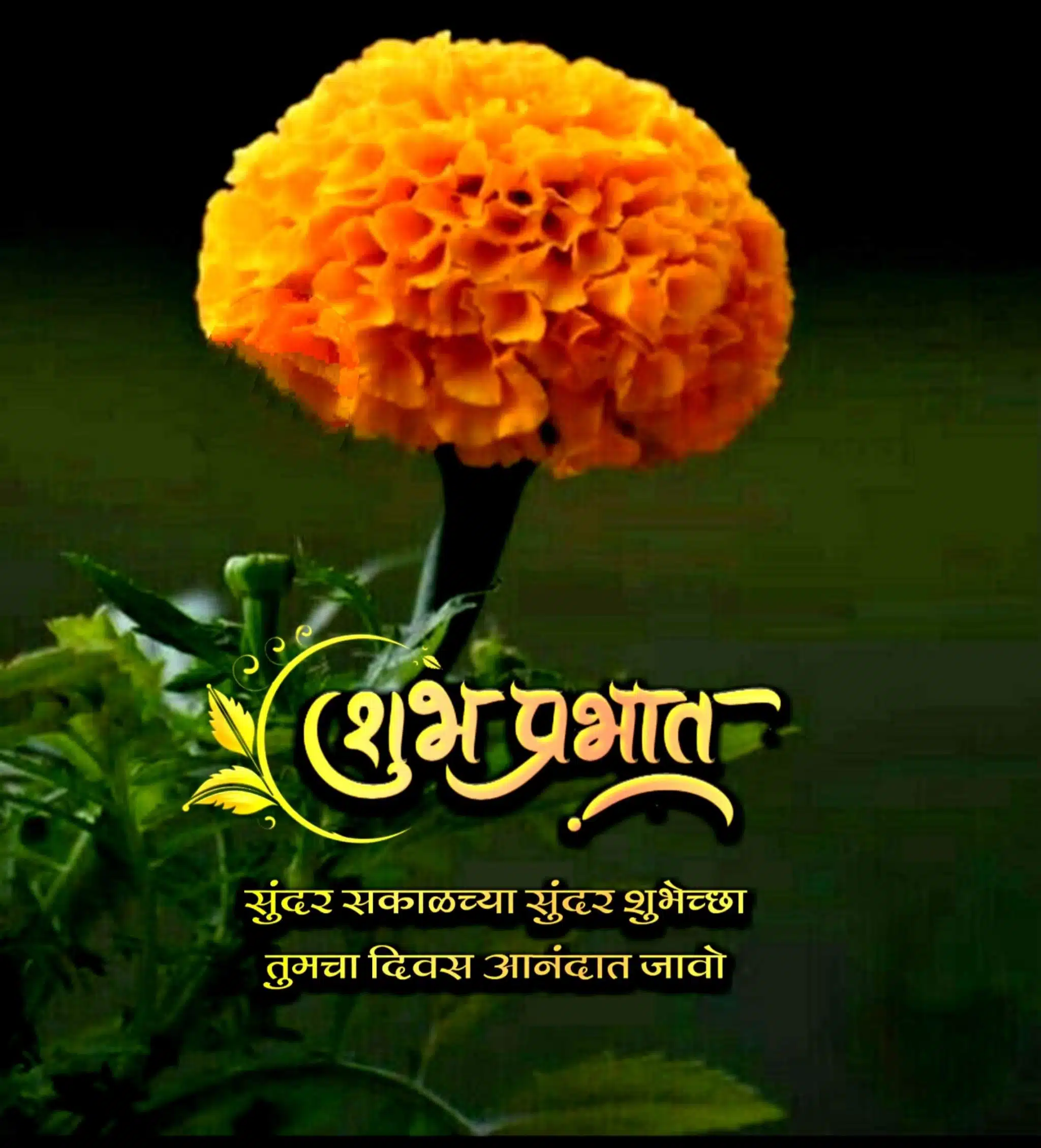 Shubh Prabhat Flower