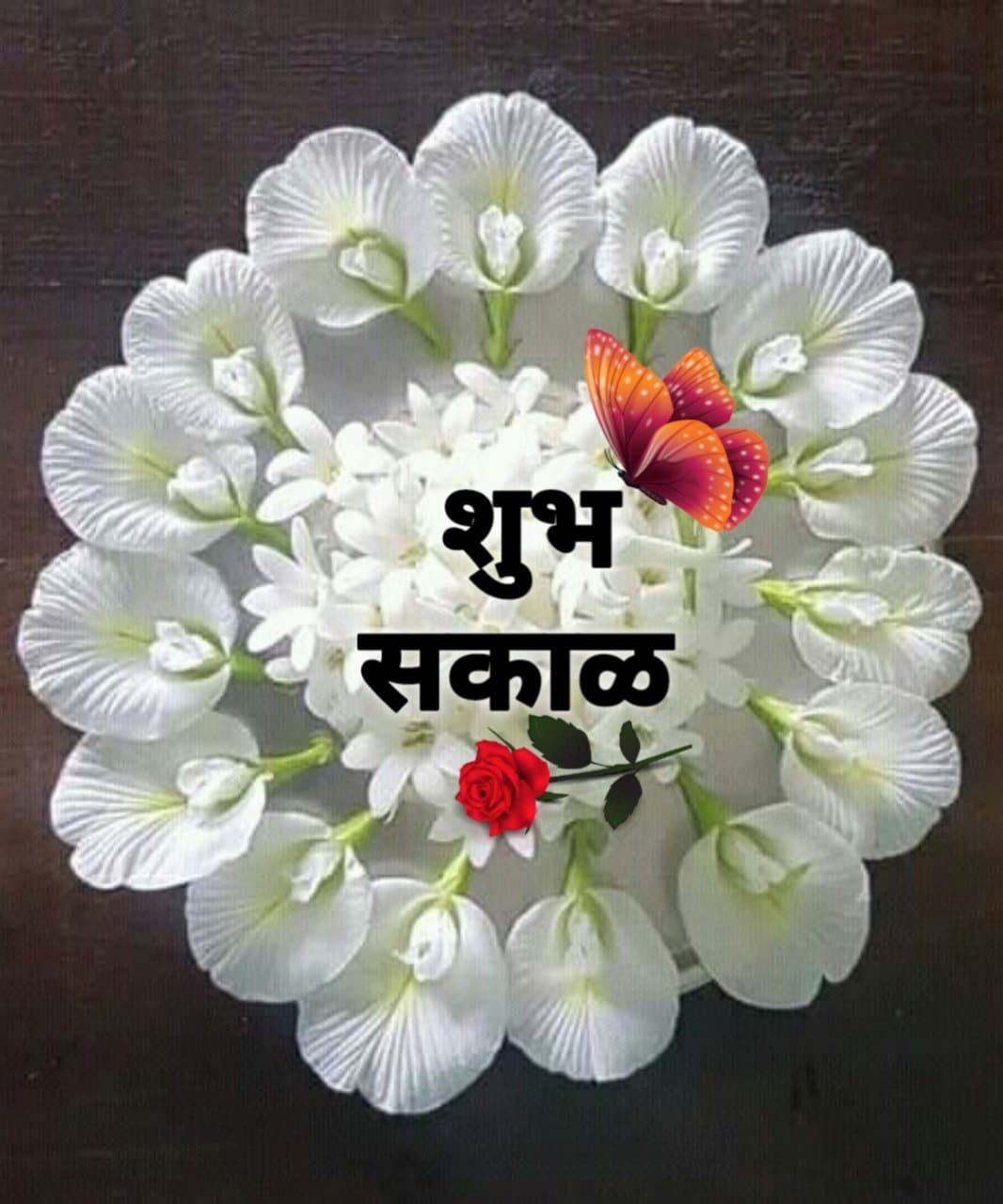 Shubh Sakal Flower