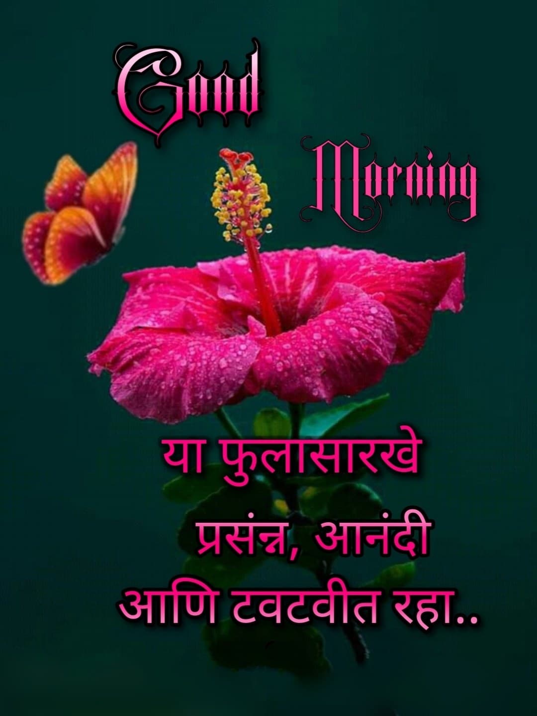 Flowers शुभ सकाळ