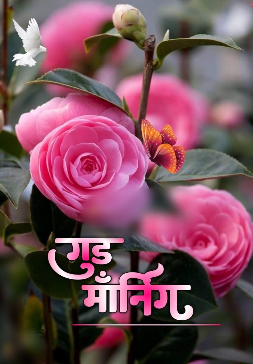 Good Morning Flowers Images In Marathi