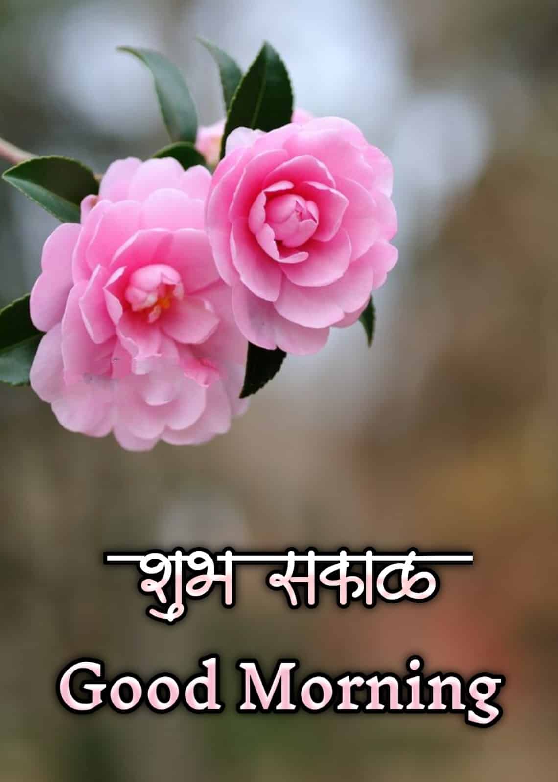 Shubh Sakal Flower