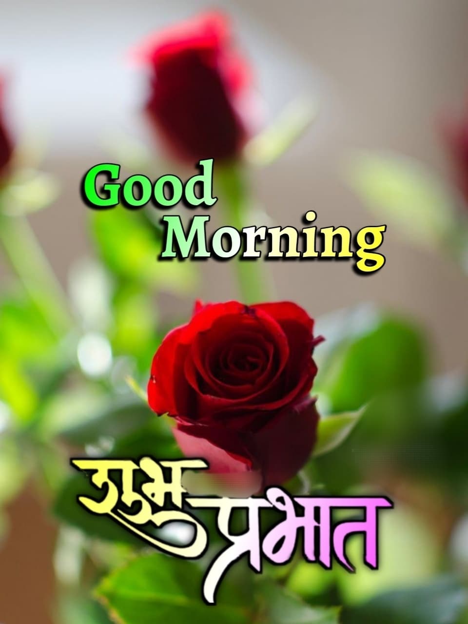 suprabhat flower images