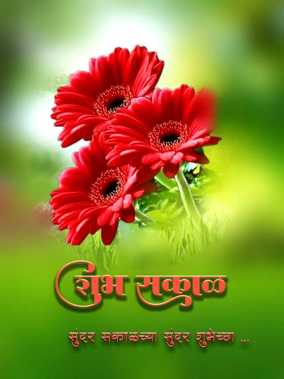 Shubh Sakal Flower Images