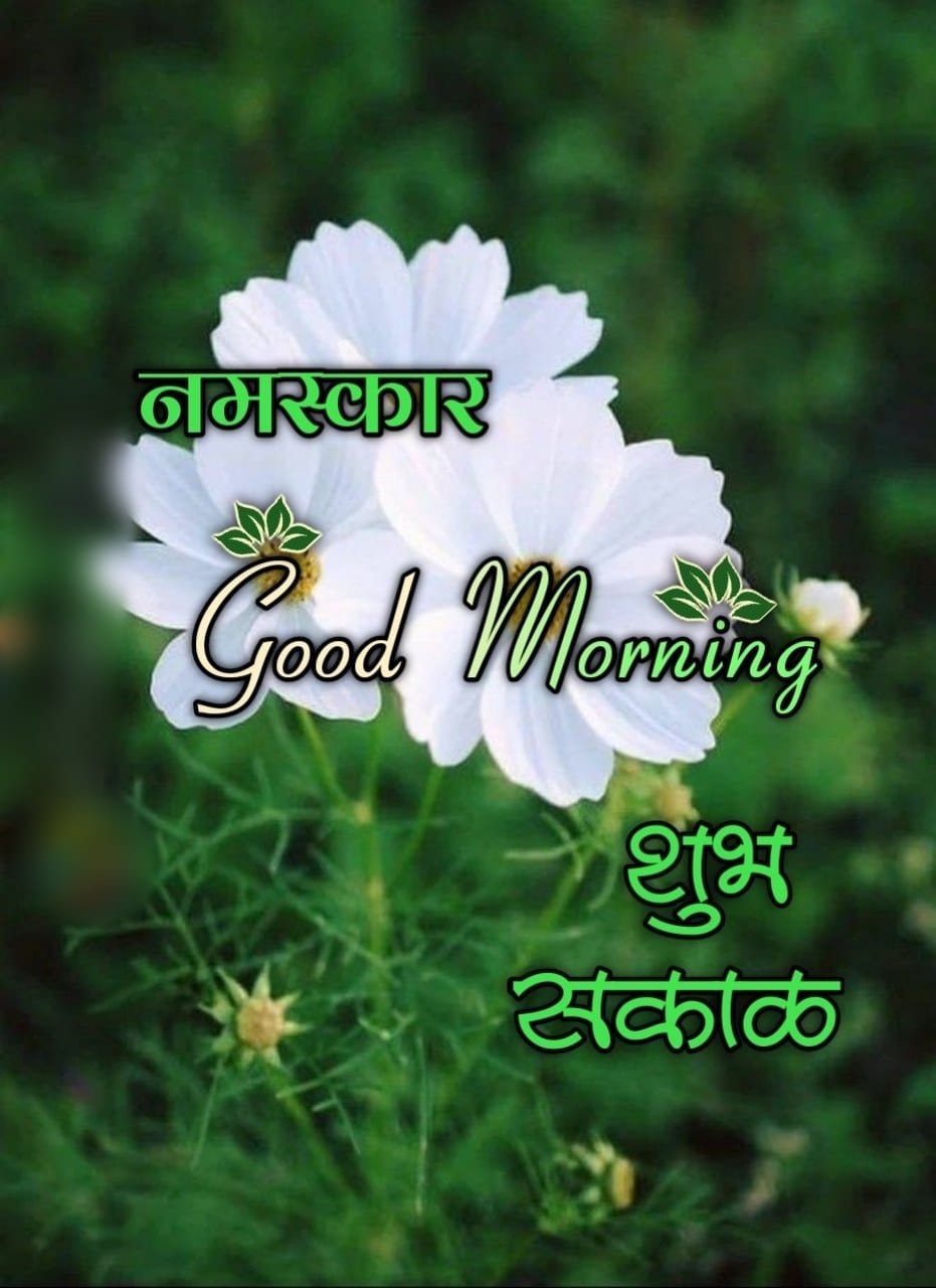 Good Morning Flowers Images In Marathi