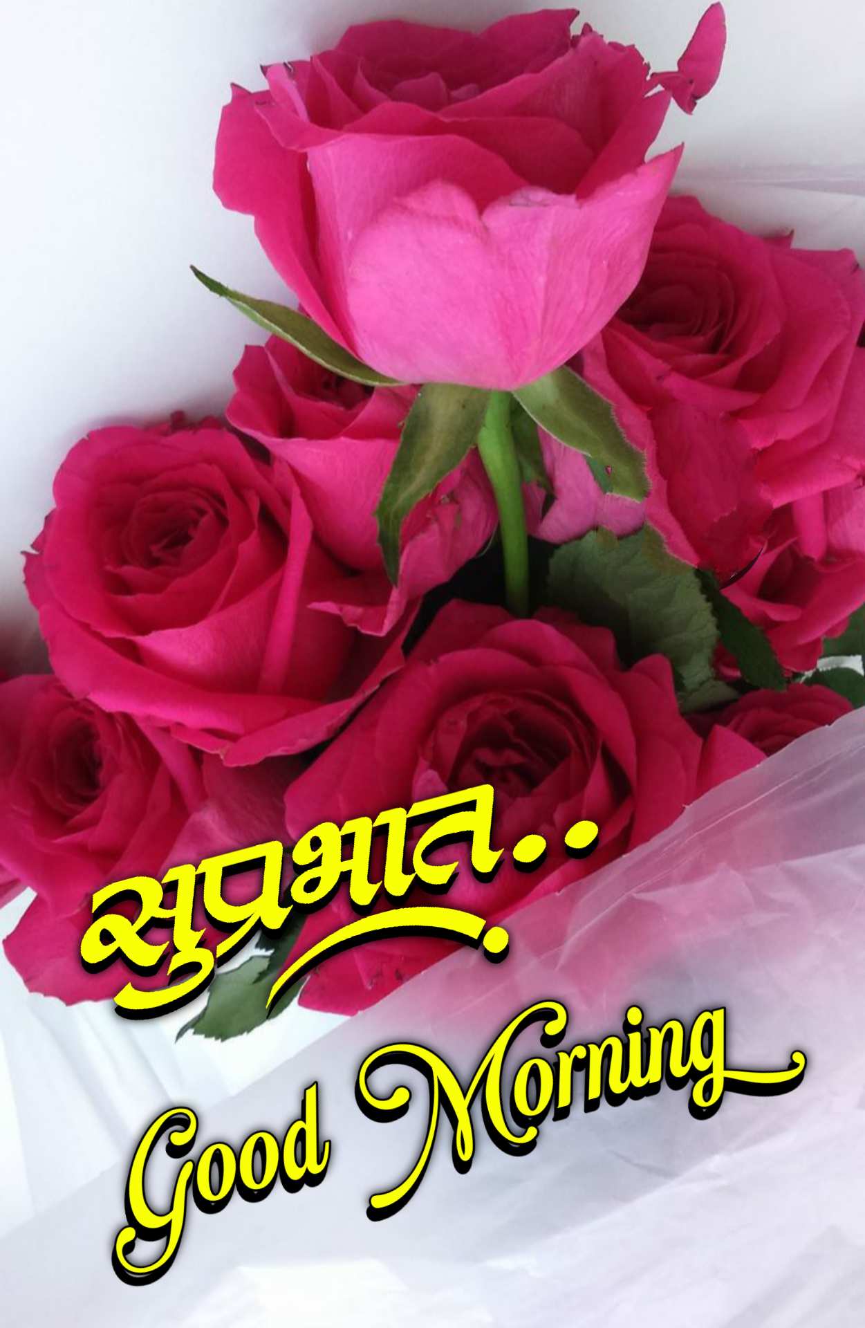 suprabhat flower images